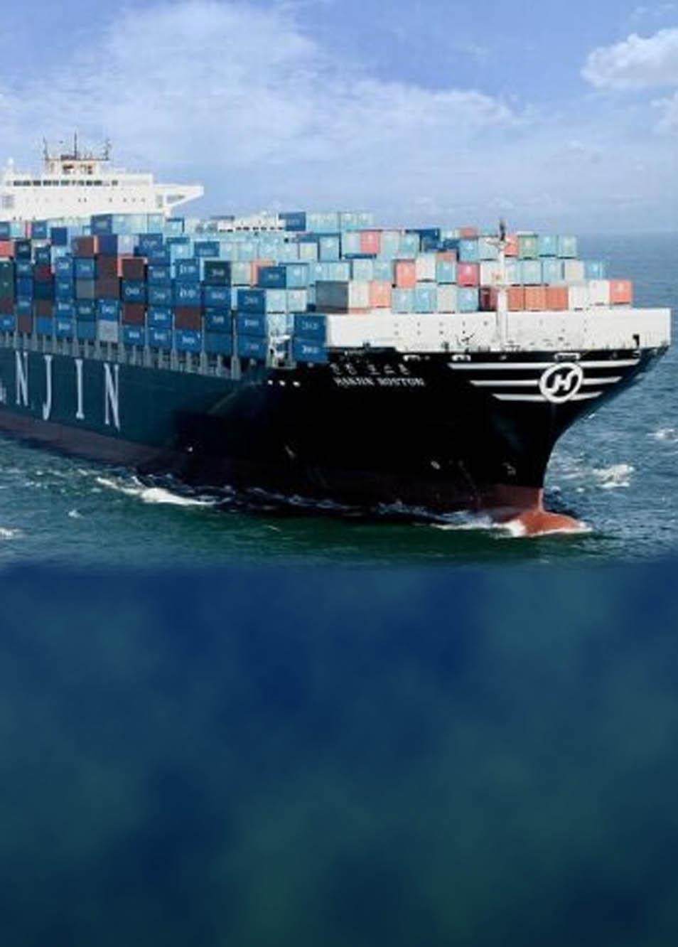 Sea Freight Shipping from China to New Zealand