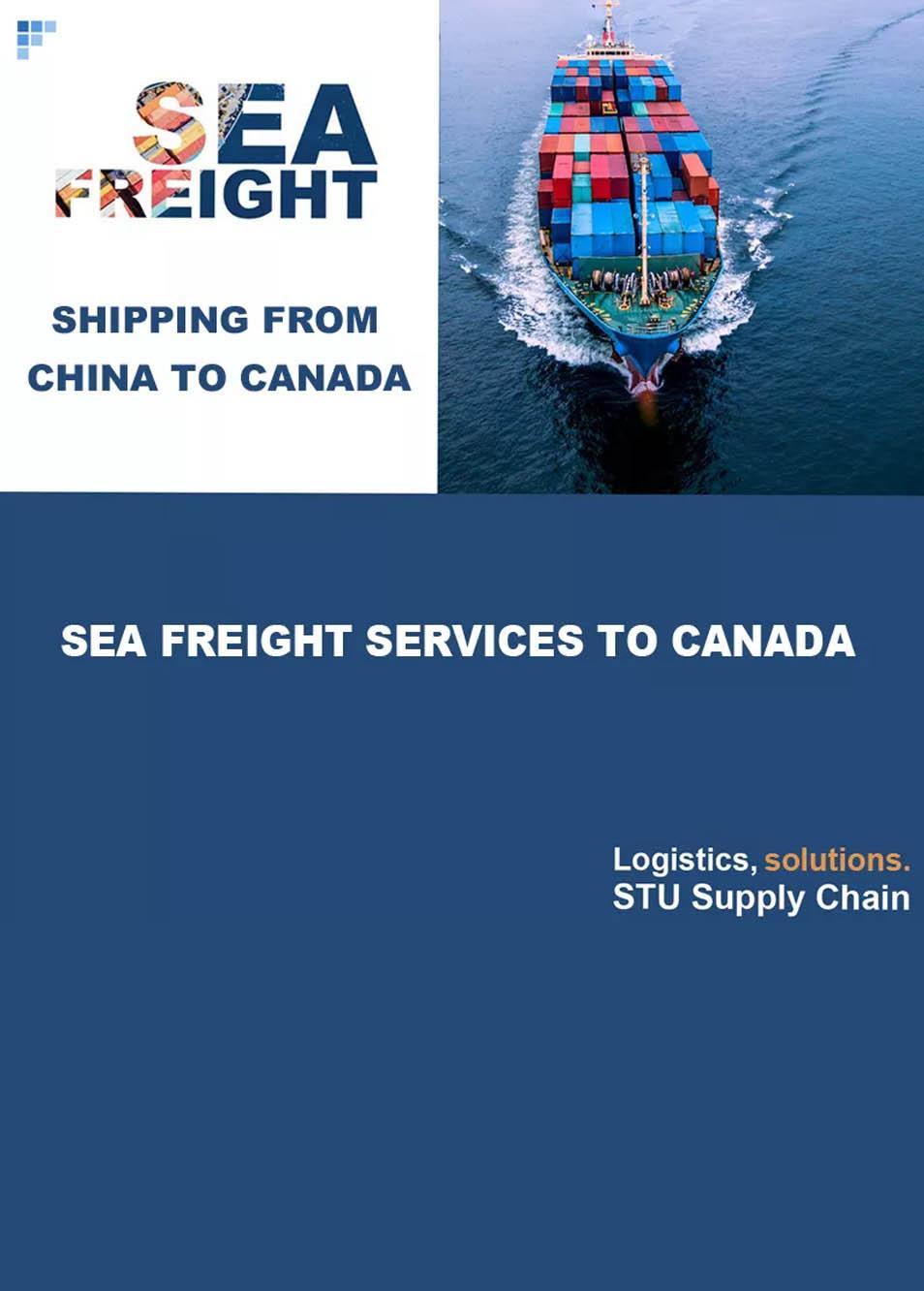 Sea Freight shipping from China to Canada