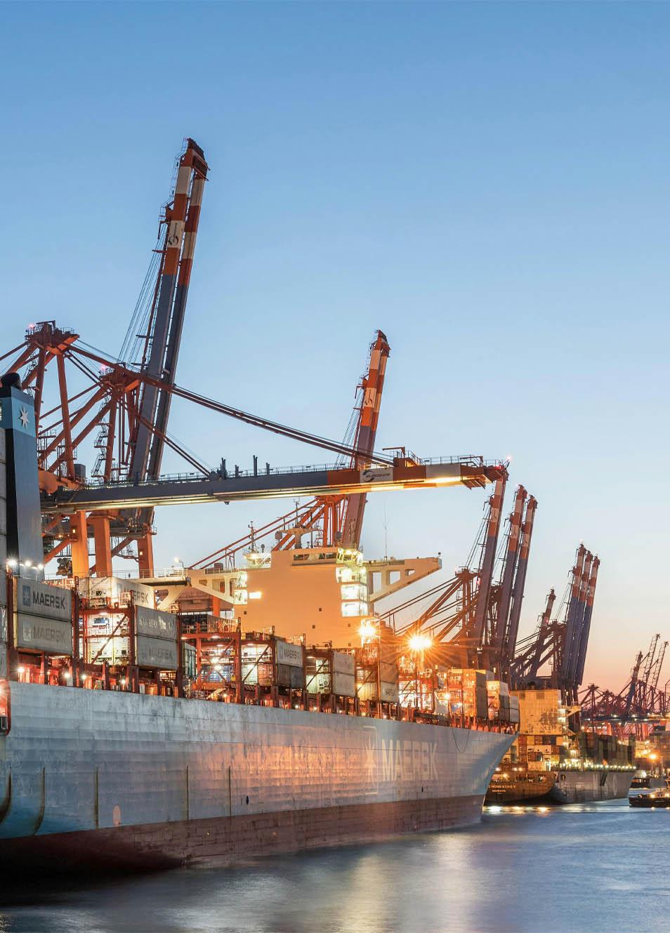 Sea Freight Shipping from China to UAE